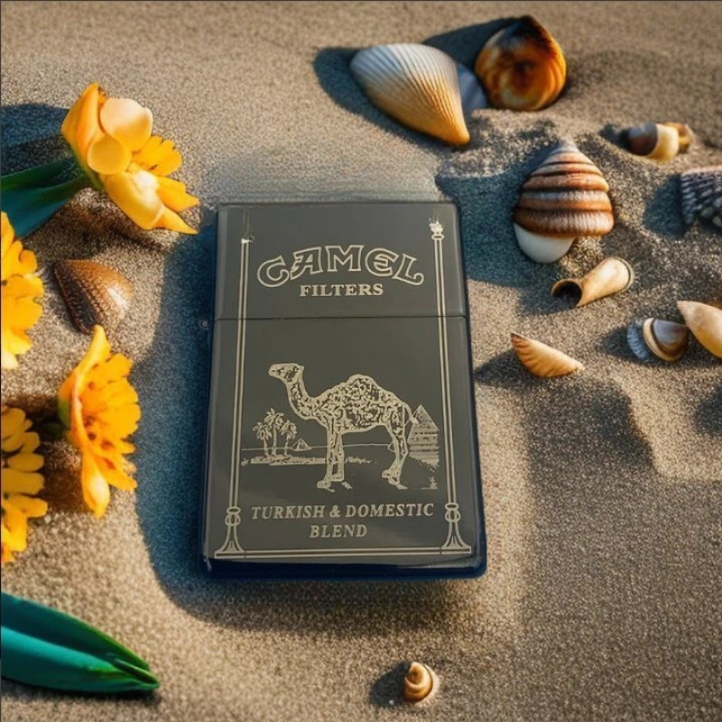 2026 new High end lighter, Cam - Lighter Insert Zippo recension och pris